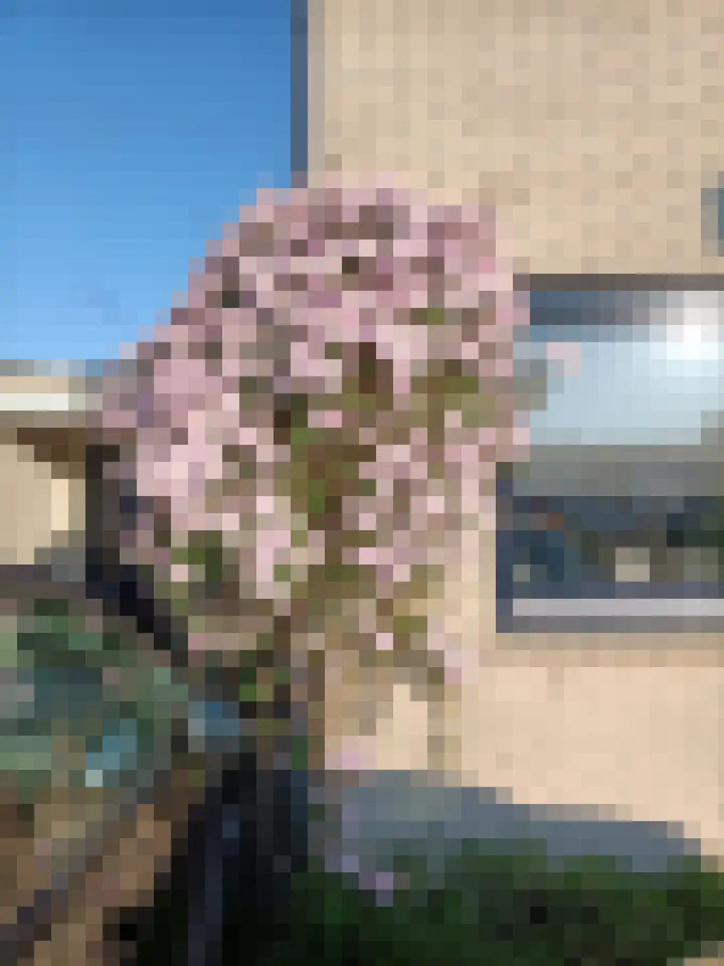 Bellinistraat 80 Capelle aan den IJssel thumbnail 62