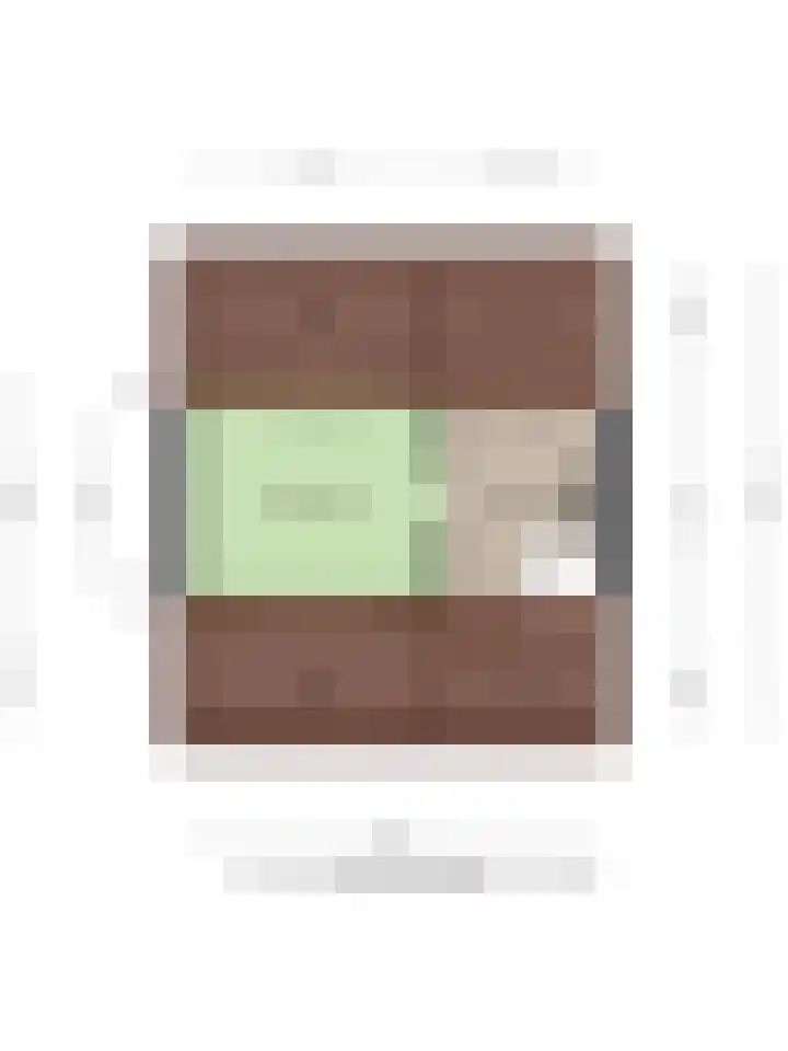 Bellinistraat 83 Tilburg thumbnail 35