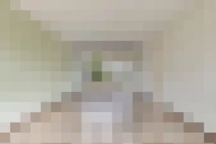 Bellinistraat 83 Tilburg thumbnail 5