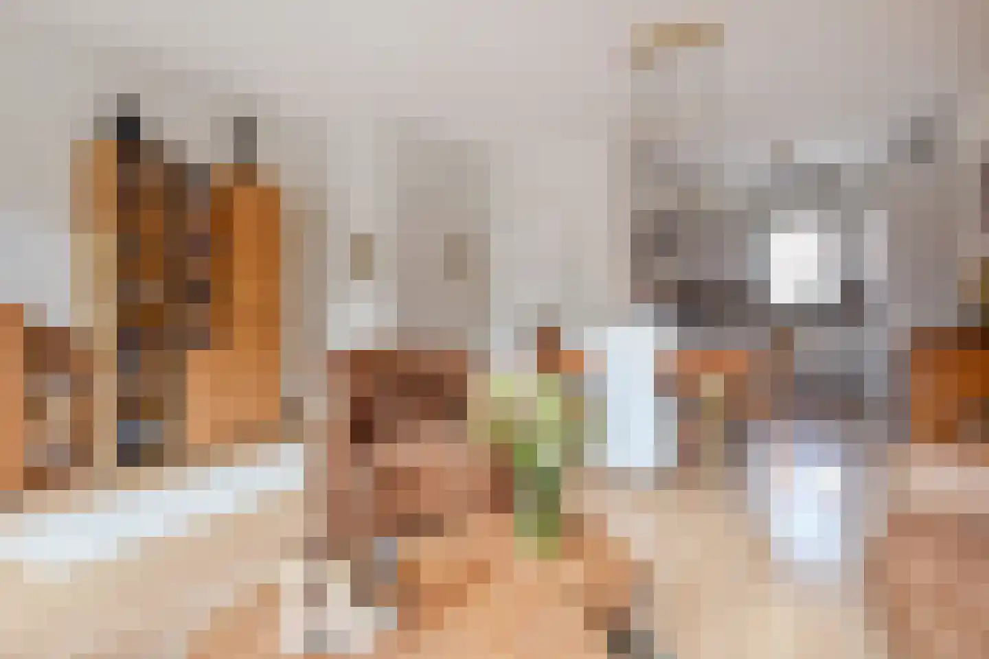 Bellinistraatje 10 Voorburg thumbnail 15