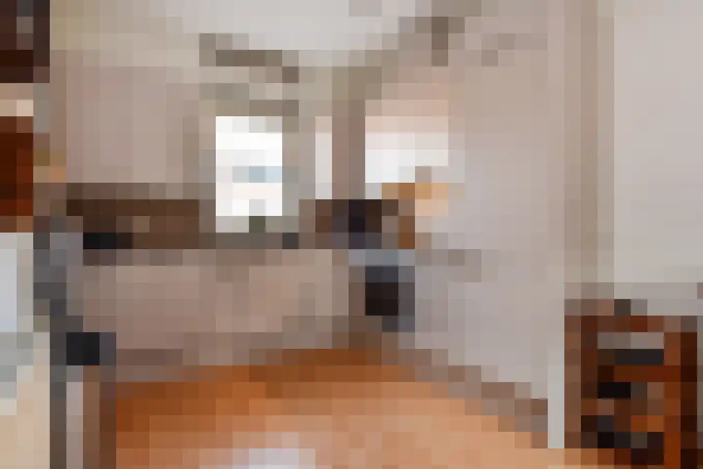Bellinistraatje 10 Voorburg thumbnail 17