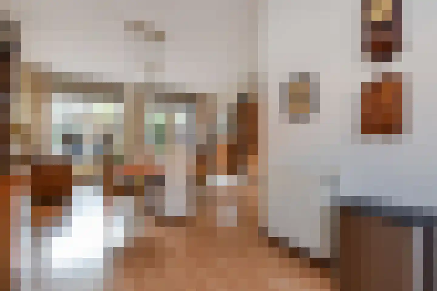 Bellinistraatje 10 Voorburg thumbnail 19