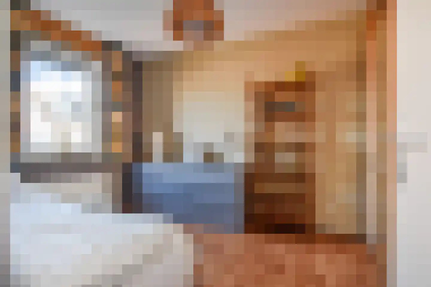 Bellinistraatje 10 Voorburg thumbnail 25