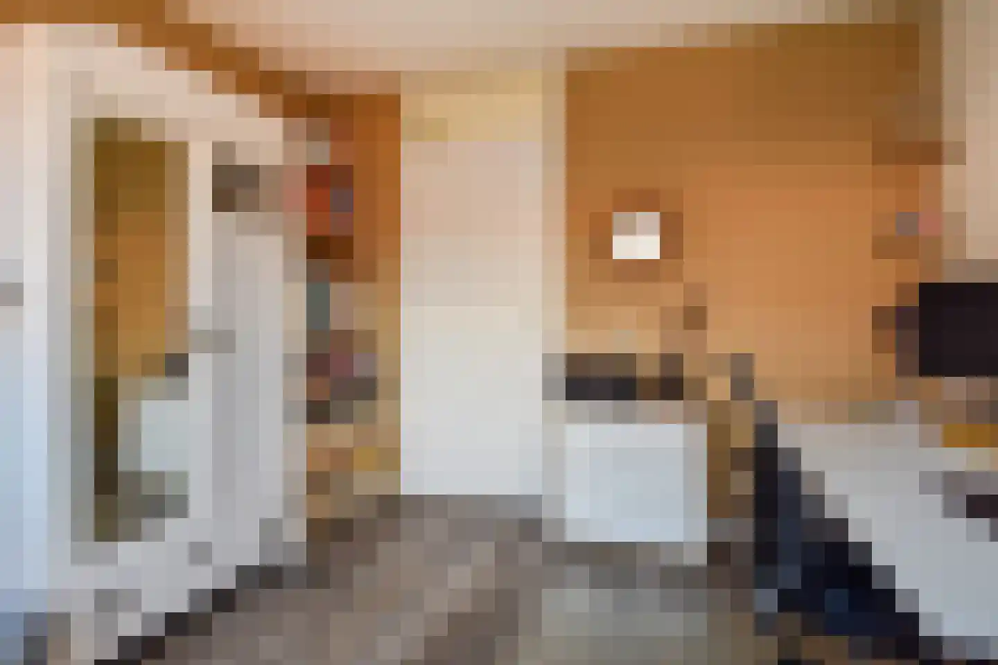 Bellinistraatje 10 Voorburg thumbnail 30