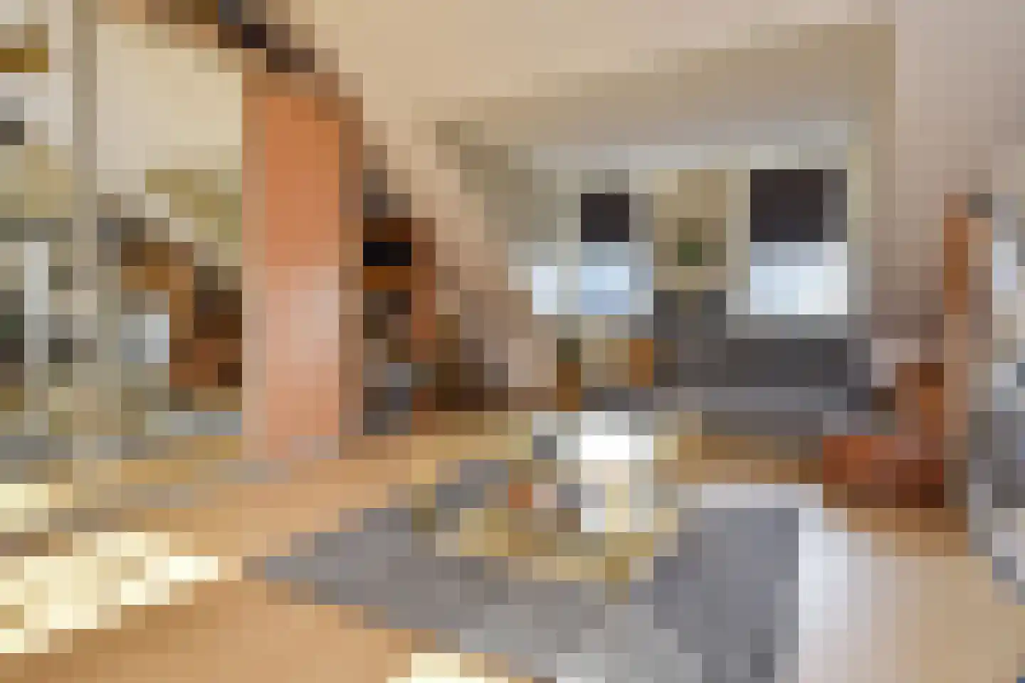 Bellinistraatje 10 Voorburg thumbnail 31
