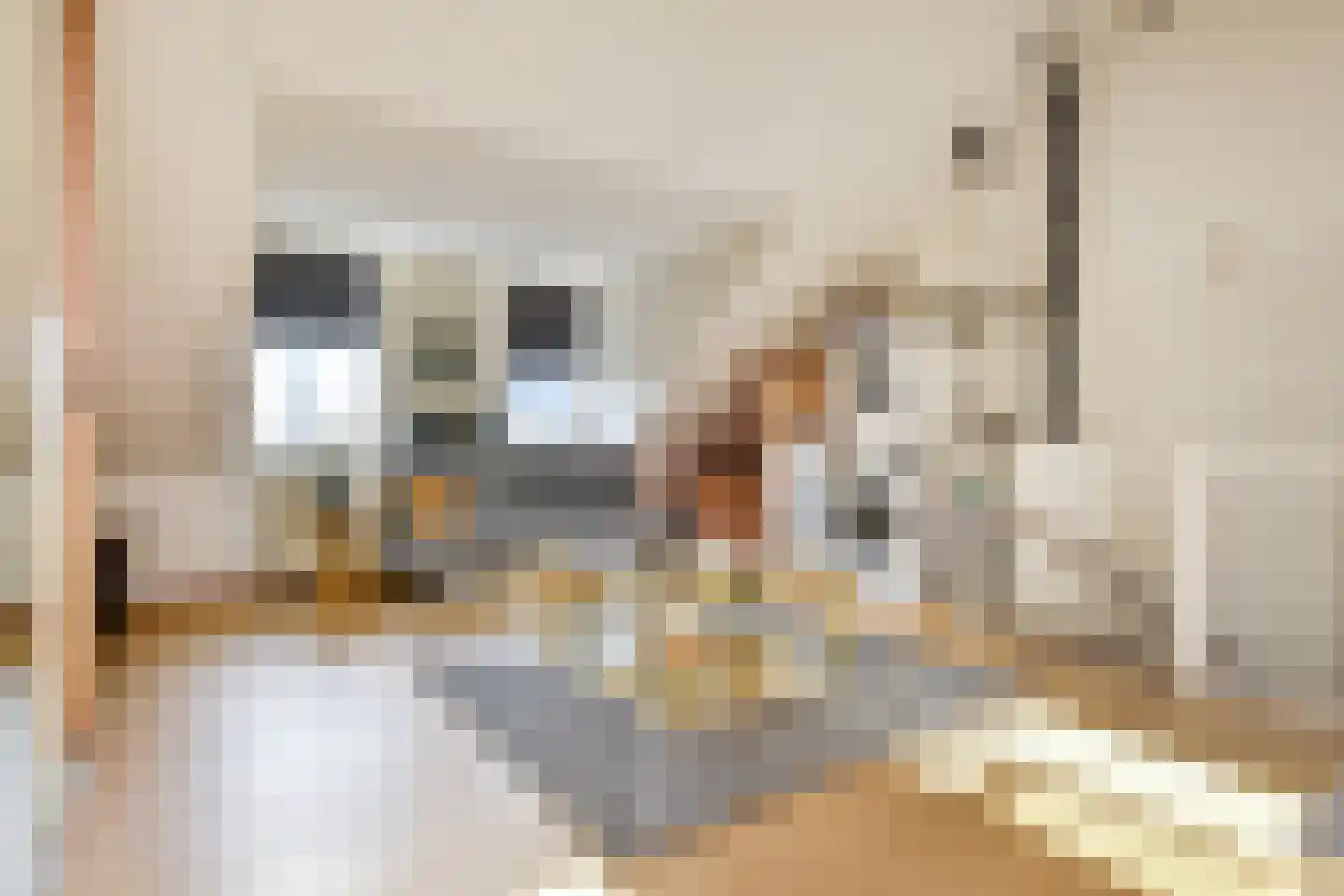 Bellinistraatje 10 Voorburg thumbnail 32
