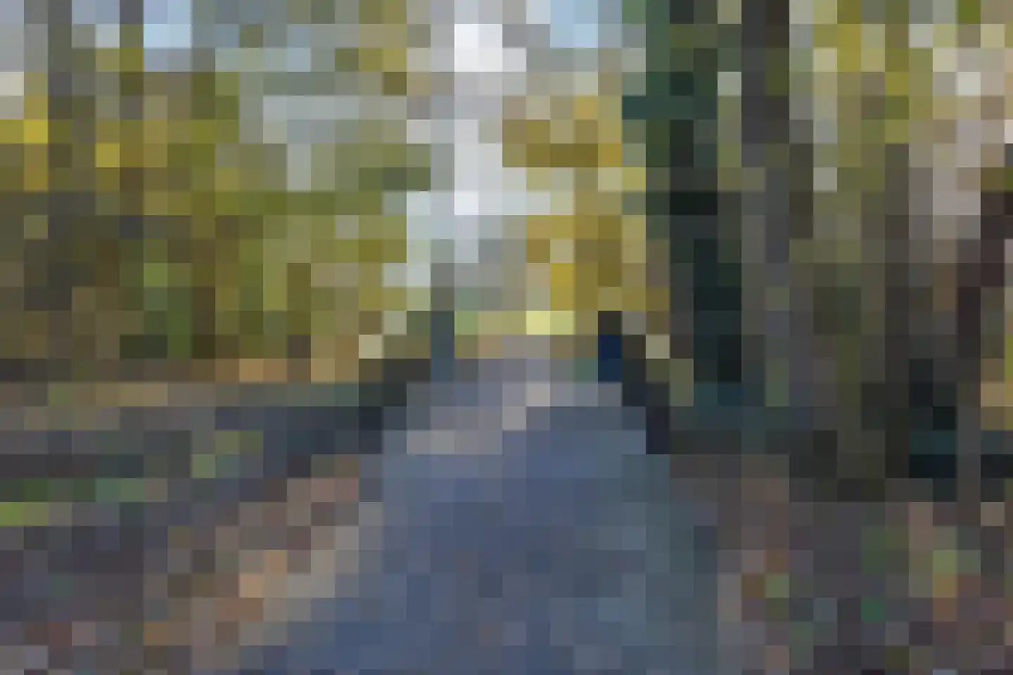 Bellinistraatje 10 Voorburg thumbnail 43