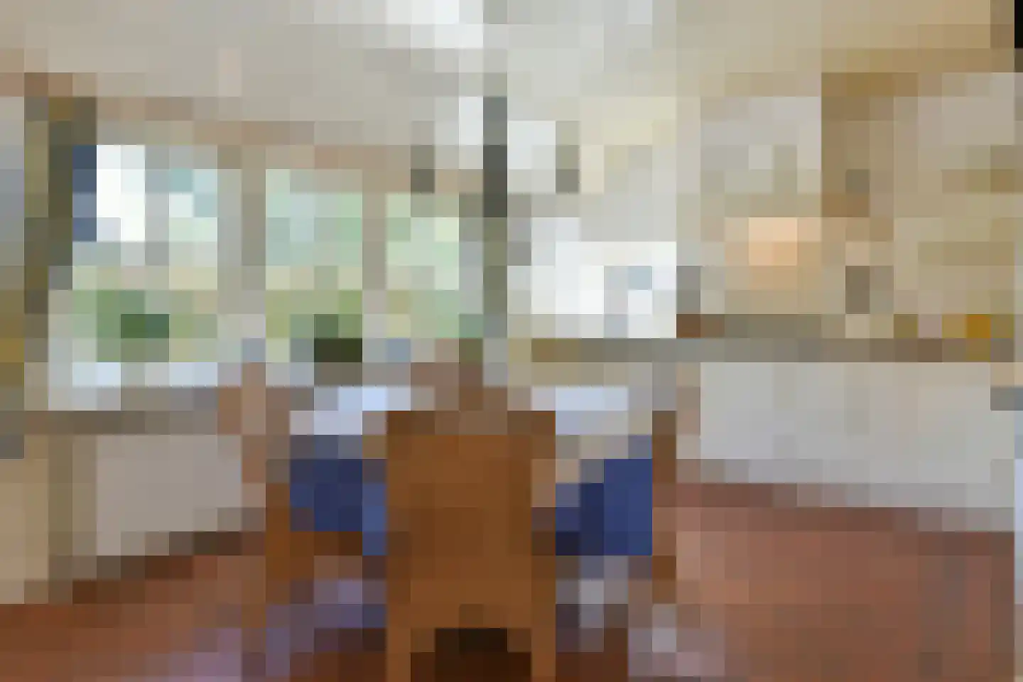 Bellinkhofsdwarsweg 3 Almelo thumbnail 10