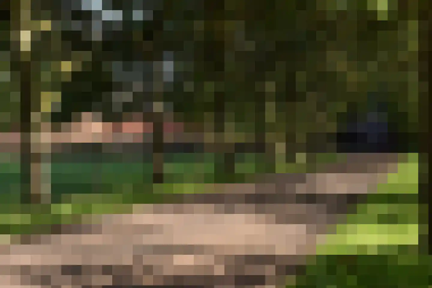 Bellinkhofsdwarsweg 3 Almelo thumbnail 100