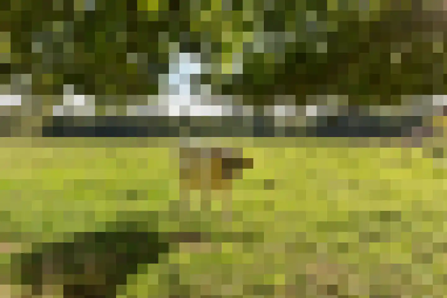 Bellinkhofsdwarsweg 3 Almelo thumbnail 101