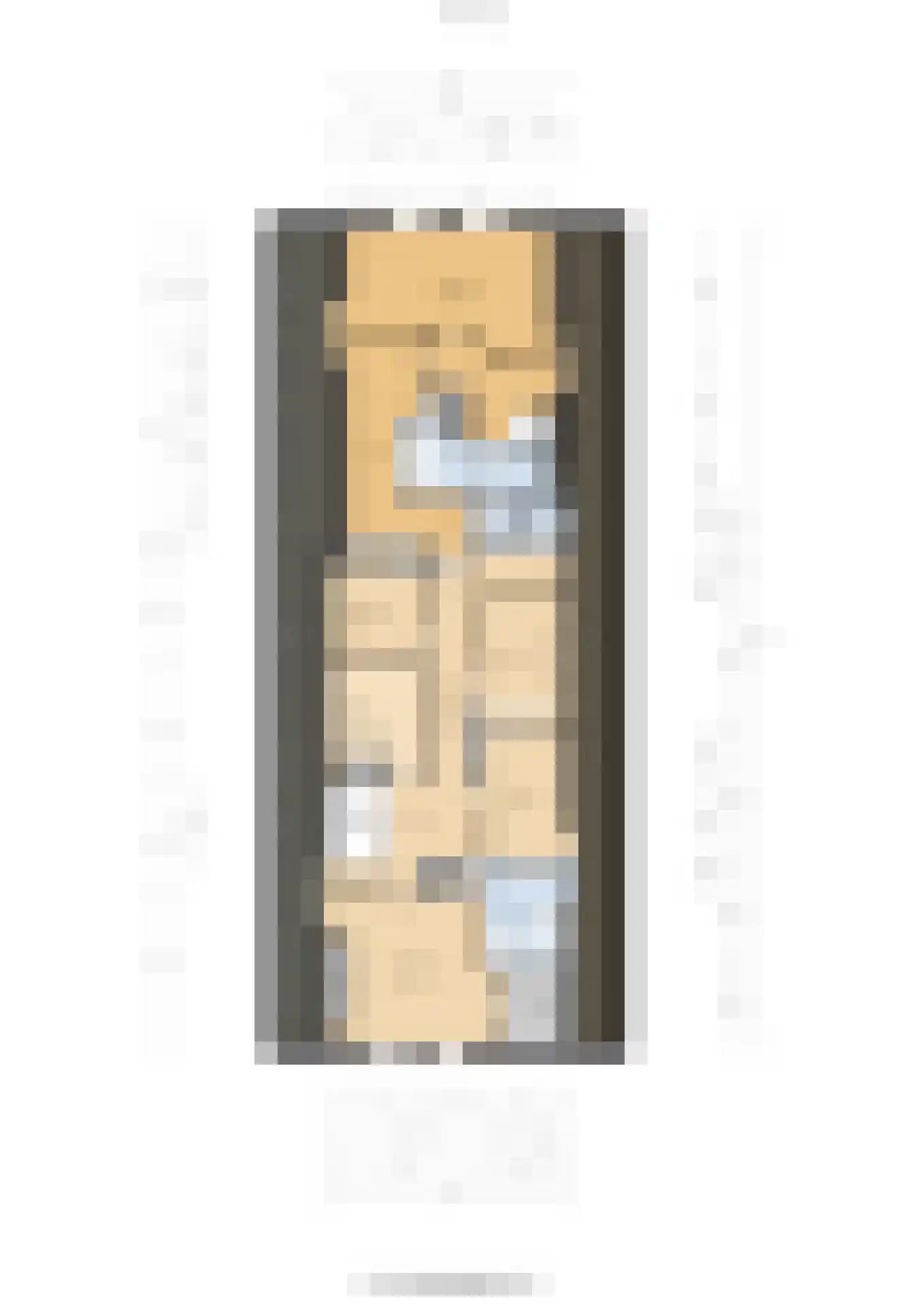 Bellinkhofsdwarsweg 3 Almelo thumbnail 104