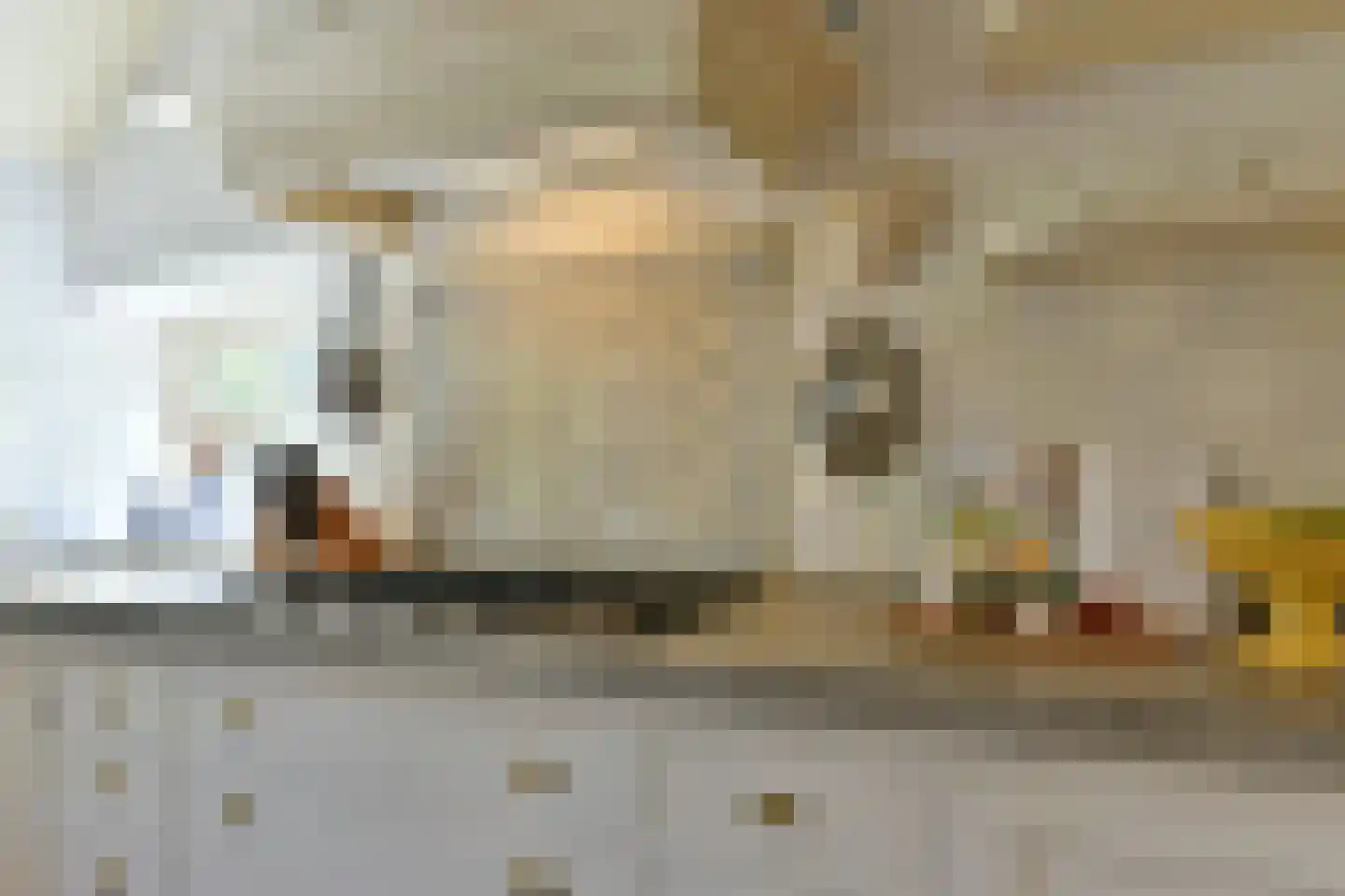 Bellinkhofsdwarsweg 3 Almelo thumbnail 11