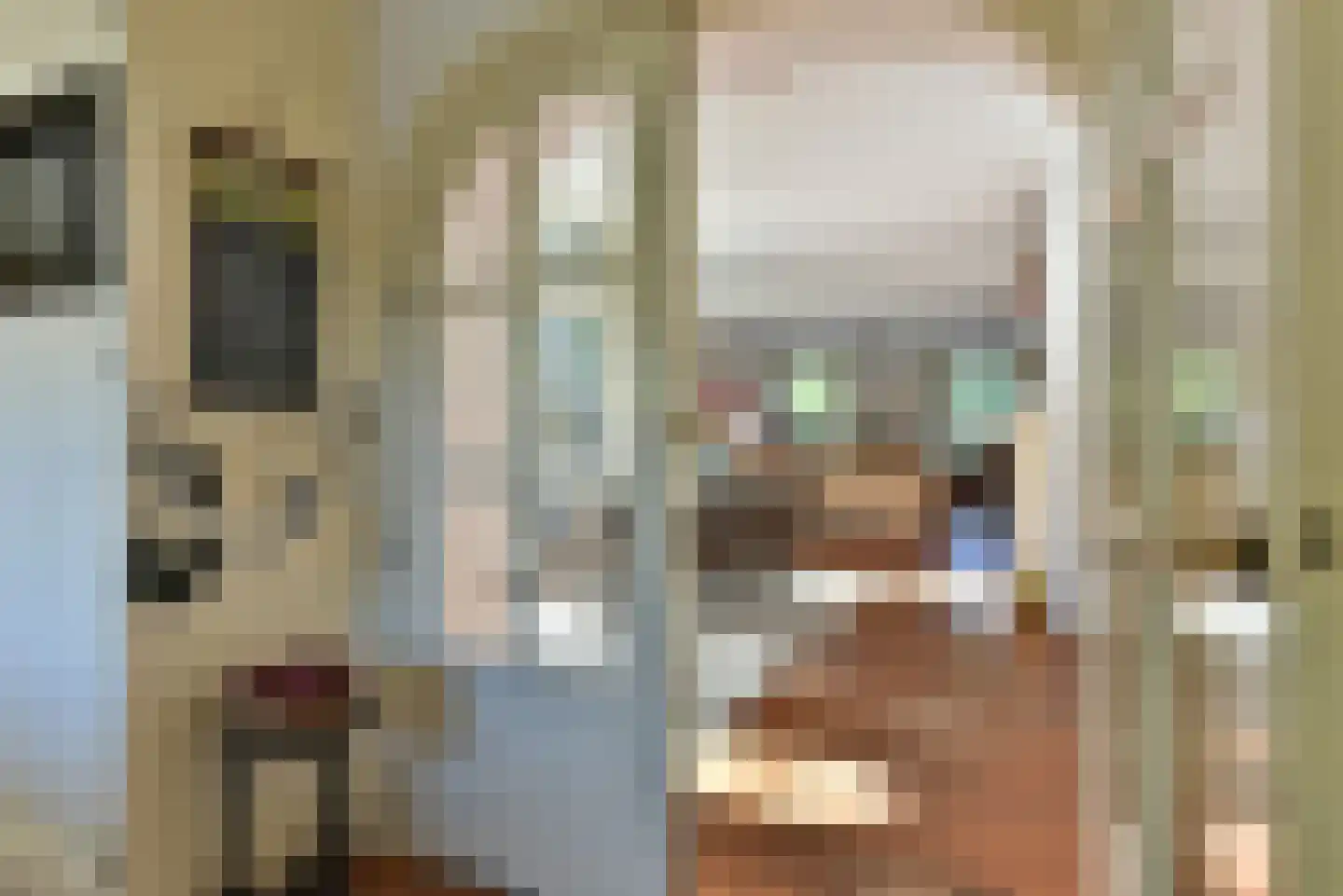 Bellinkhofsdwarsweg 3 Almelo thumbnail 12