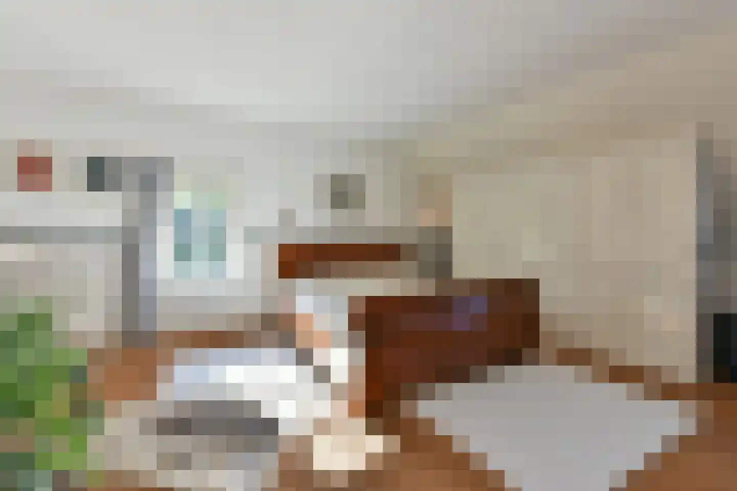 Bellinkhofsdwarsweg 3 Almelo thumbnail 14