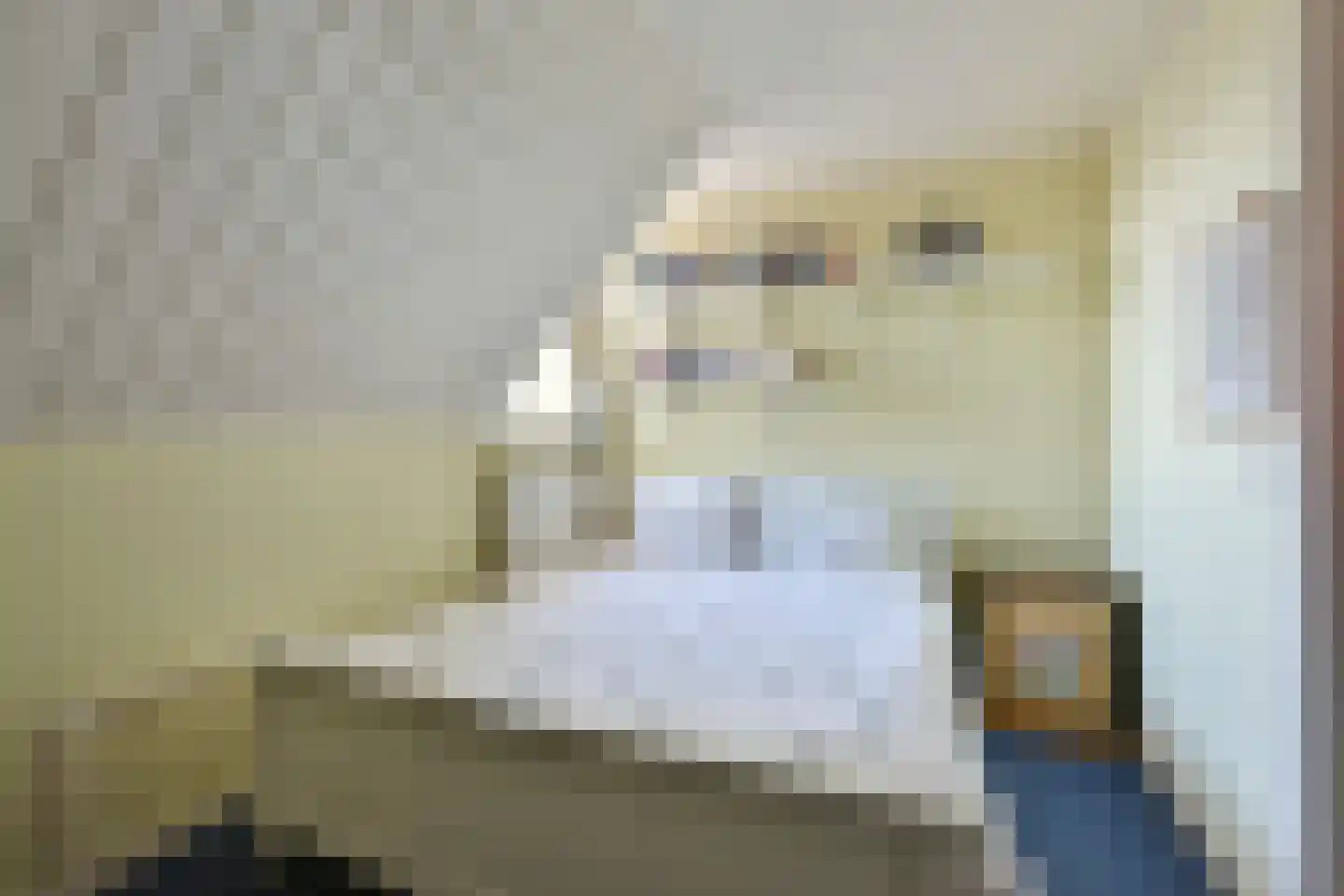 Bellinkhofsdwarsweg 3 Almelo thumbnail 16