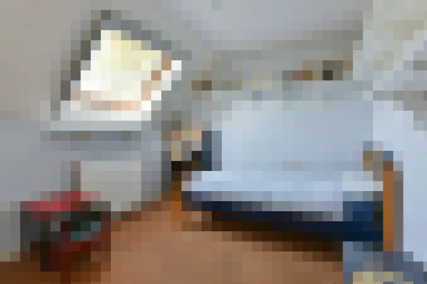 Bellinkhofsdwarsweg 3 Almelo thumbnail 17