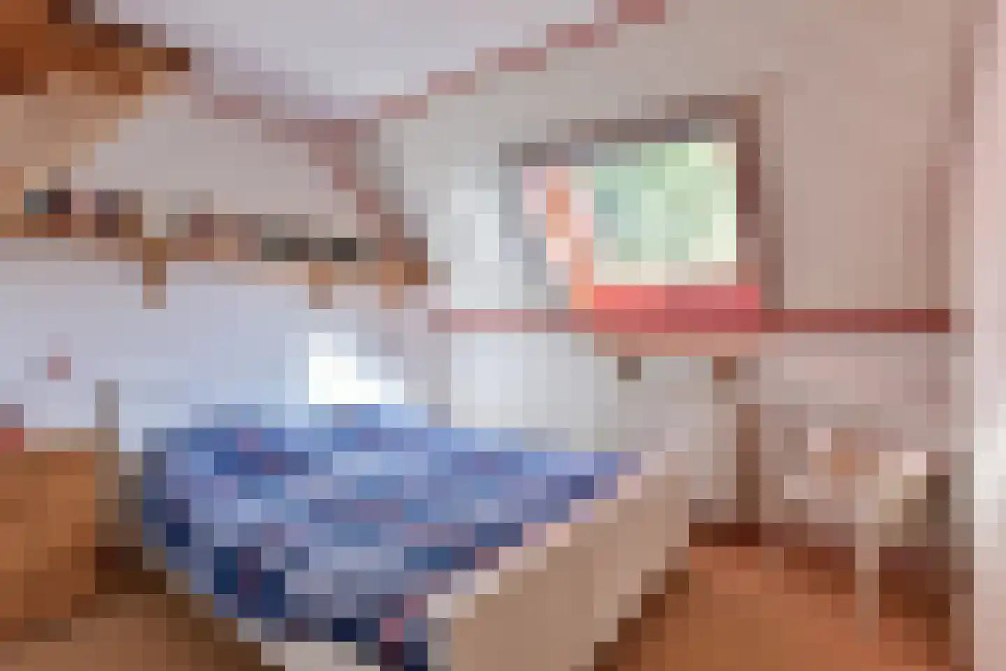 Bellinkhofsdwarsweg 3 Almelo thumbnail 18