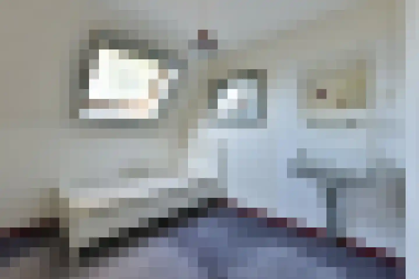 Bellinkhofsdwarsweg 3 Almelo thumbnail 19