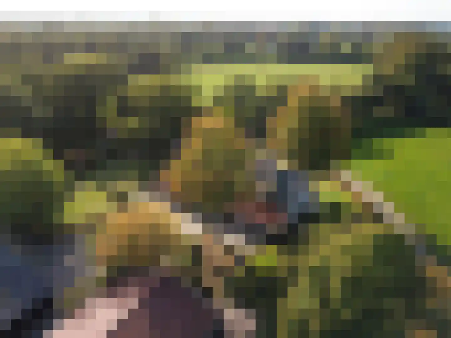 Bellinkhofsdwarsweg 3 Almelo thumbnail 20