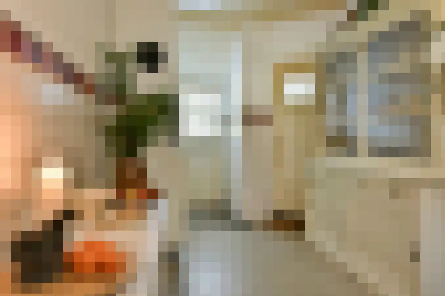Bellinkhofsdwarsweg 3 Almelo thumbnail 21