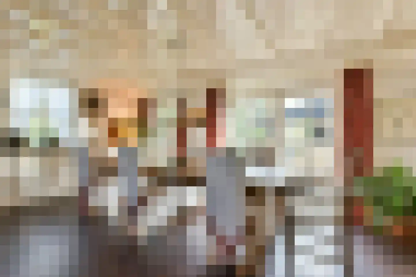 Bellinkhofsdwarsweg 3 Almelo thumbnail 24