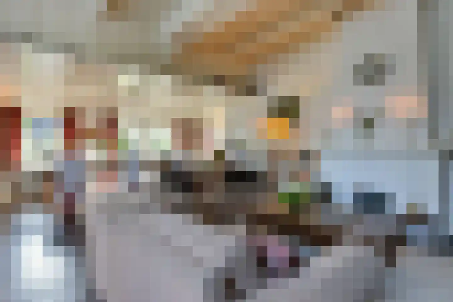 Bellinkhofsdwarsweg 3 Almelo thumbnail 26