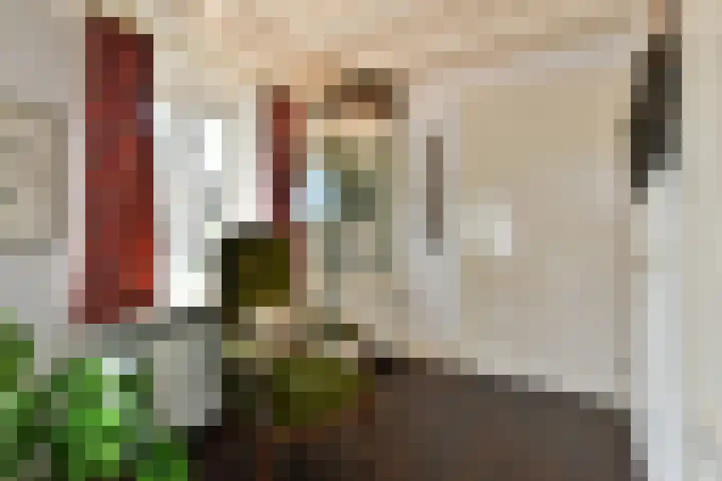Bellinkhofsdwarsweg 3 Almelo thumbnail 28
