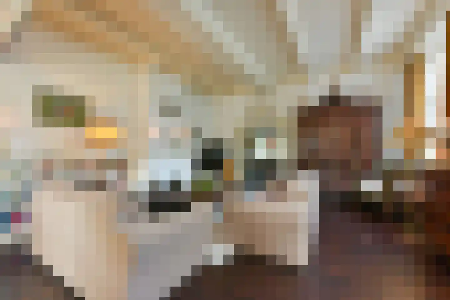Bellinkhofsdwarsweg 3 Almelo thumbnail 29