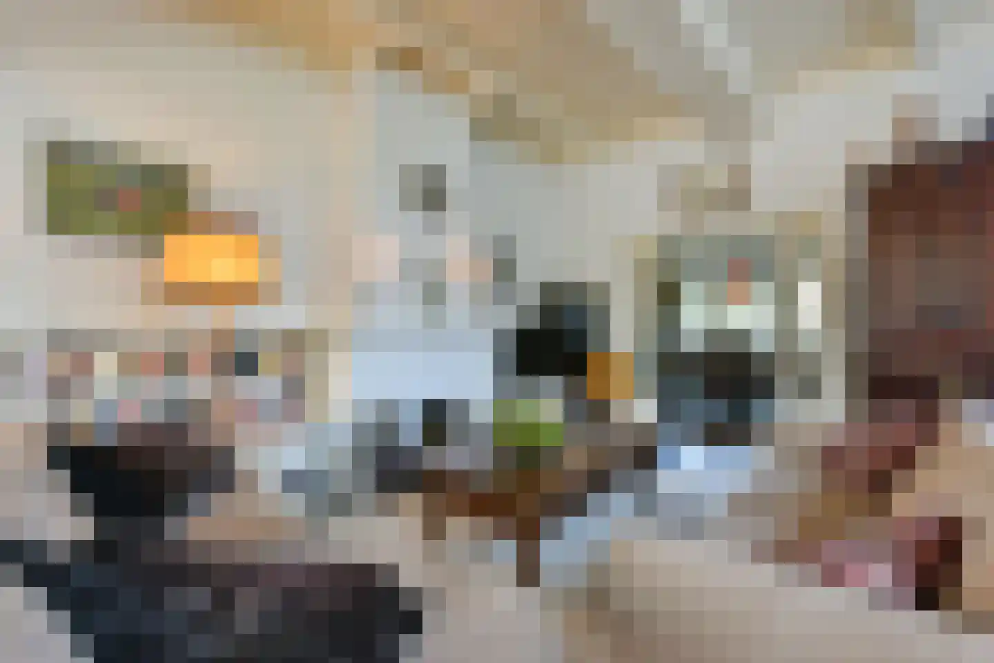 Bellinkhofsdwarsweg 3 Almelo thumbnail 30