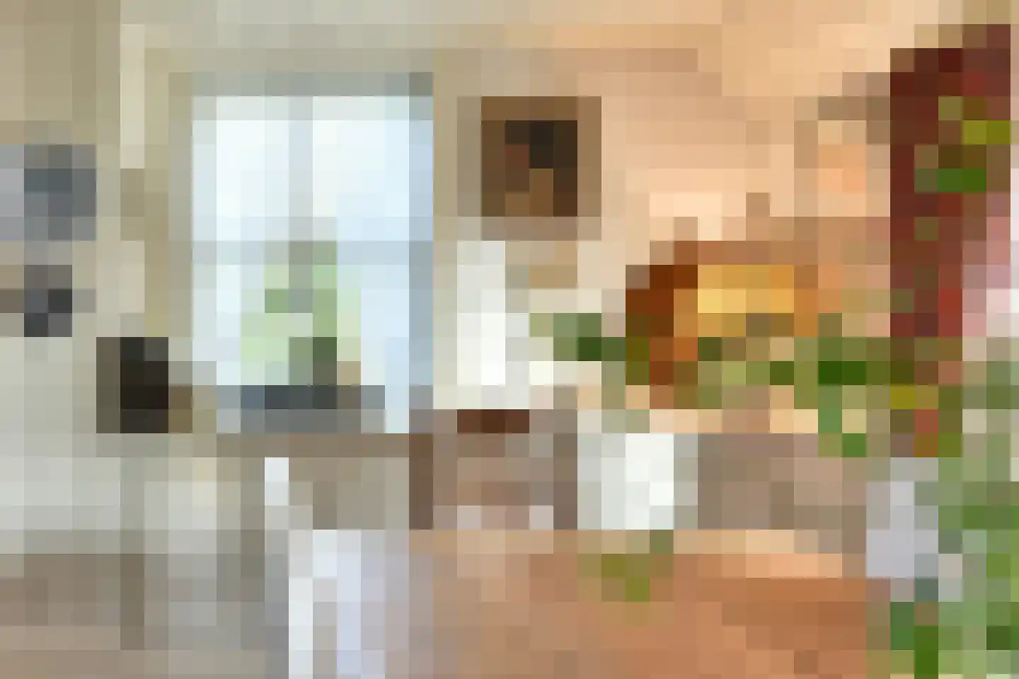 Bellinkhofsdwarsweg 3 Almelo thumbnail 31