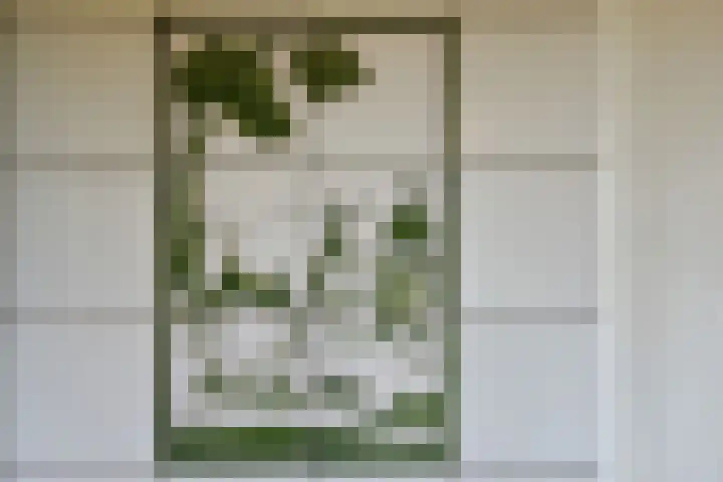 Bellinkhofsdwarsweg 3 Almelo thumbnail 33