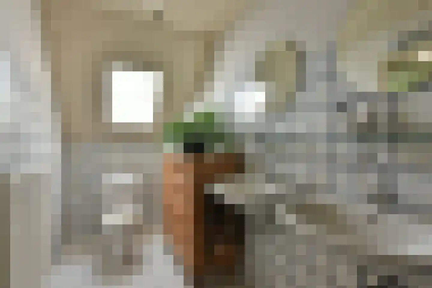Bellinkhofsdwarsweg 3 Almelo thumbnail 36