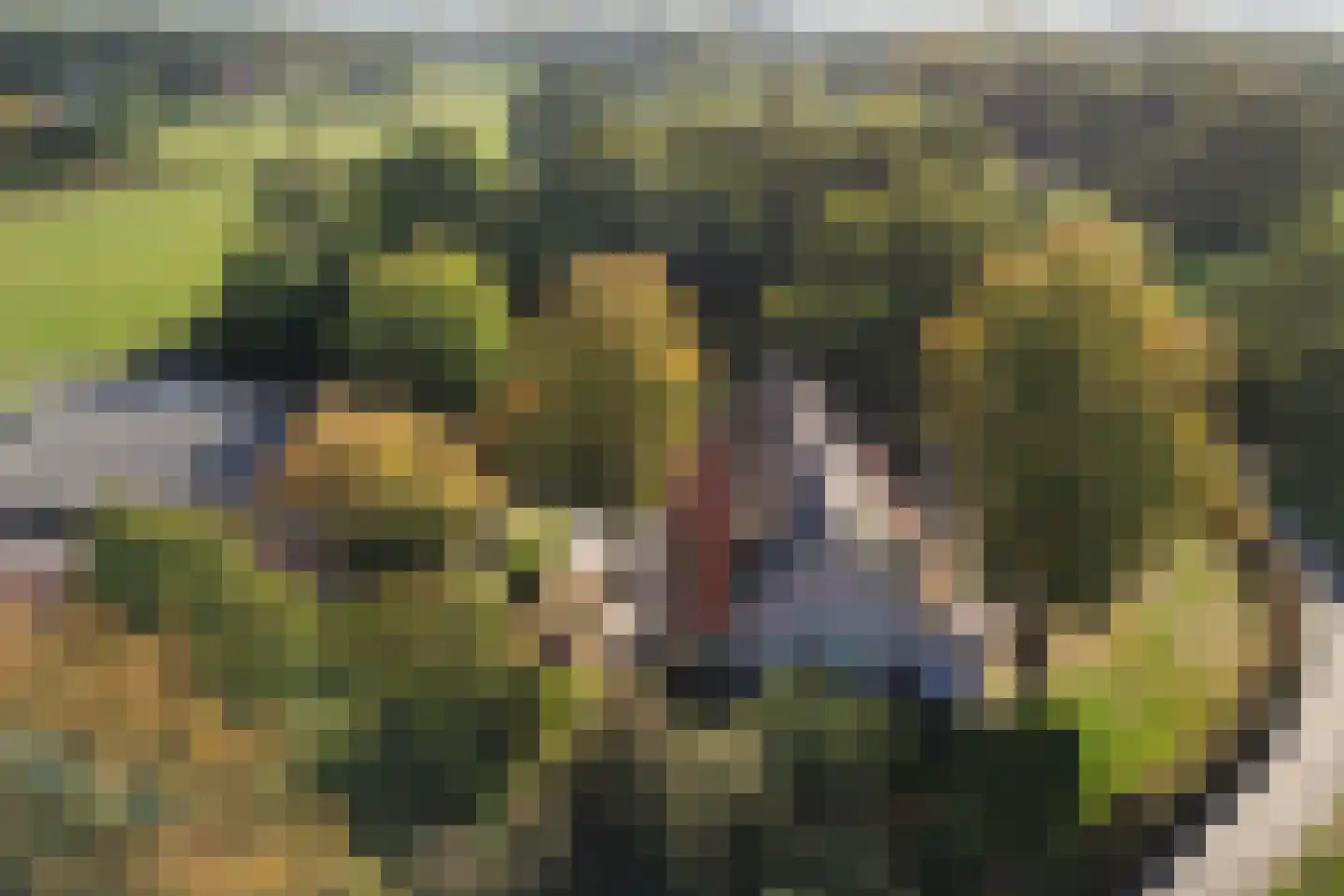 Bellinkhofsdwarsweg 3 Almelo thumbnail 38