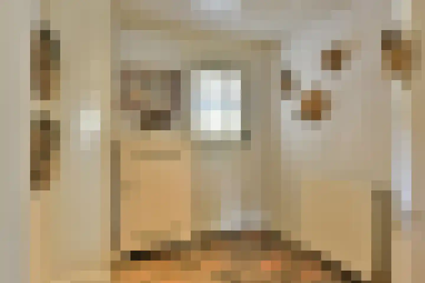 Bellinkhofsdwarsweg 3 Almelo thumbnail 39