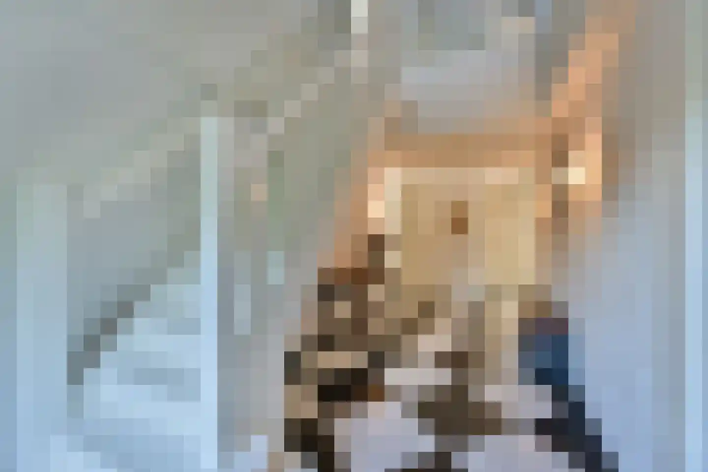 Bellinkhofsdwarsweg 3 Almelo thumbnail 4