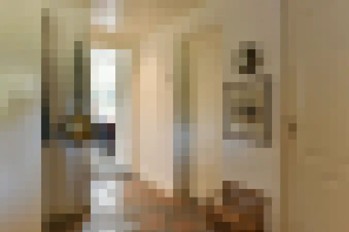 Bellinkhofsdwarsweg 3 Almelo thumbnail 40