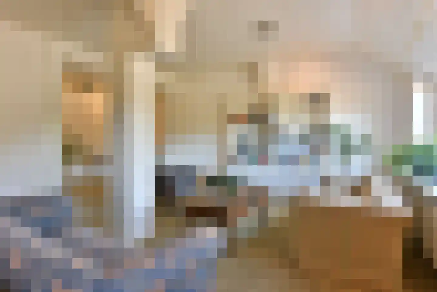 Bellinkhofsdwarsweg 3 Almelo thumbnail 41