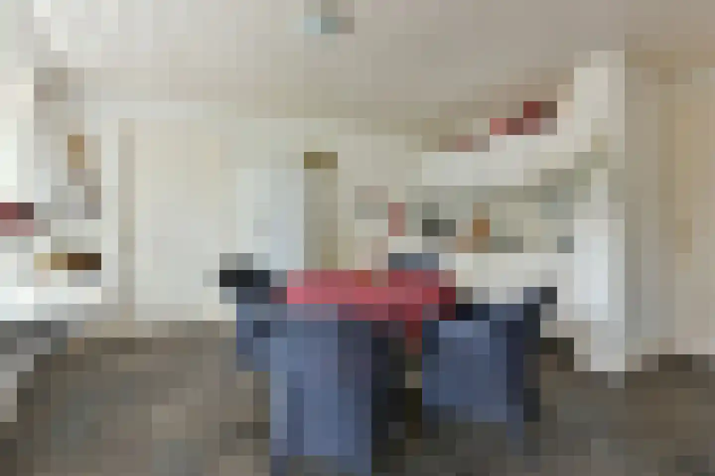 Bellinkhofsdwarsweg 3 Almelo thumbnail 44