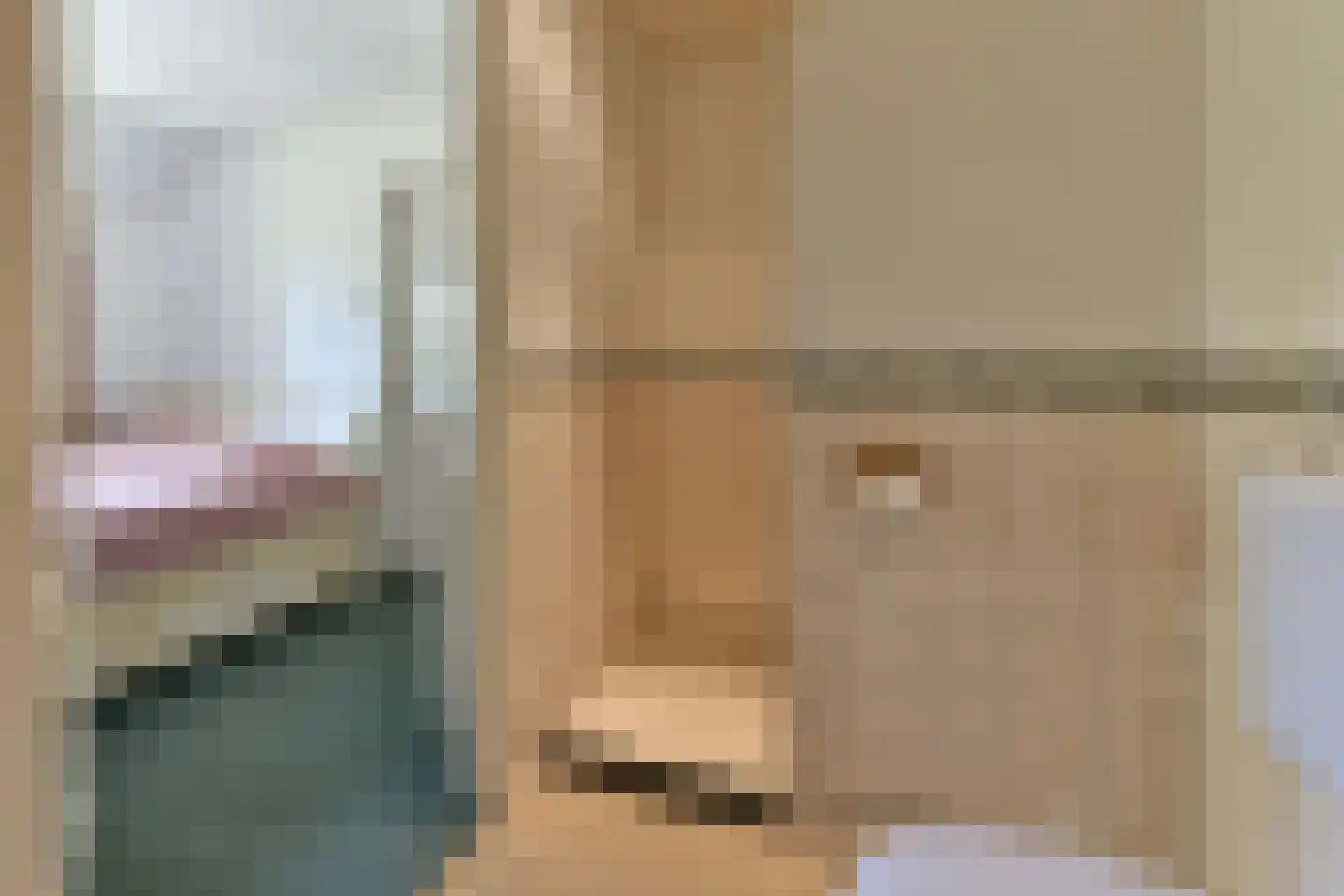 Bellinkhofsdwarsweg 3 Almelo thumbnail 46