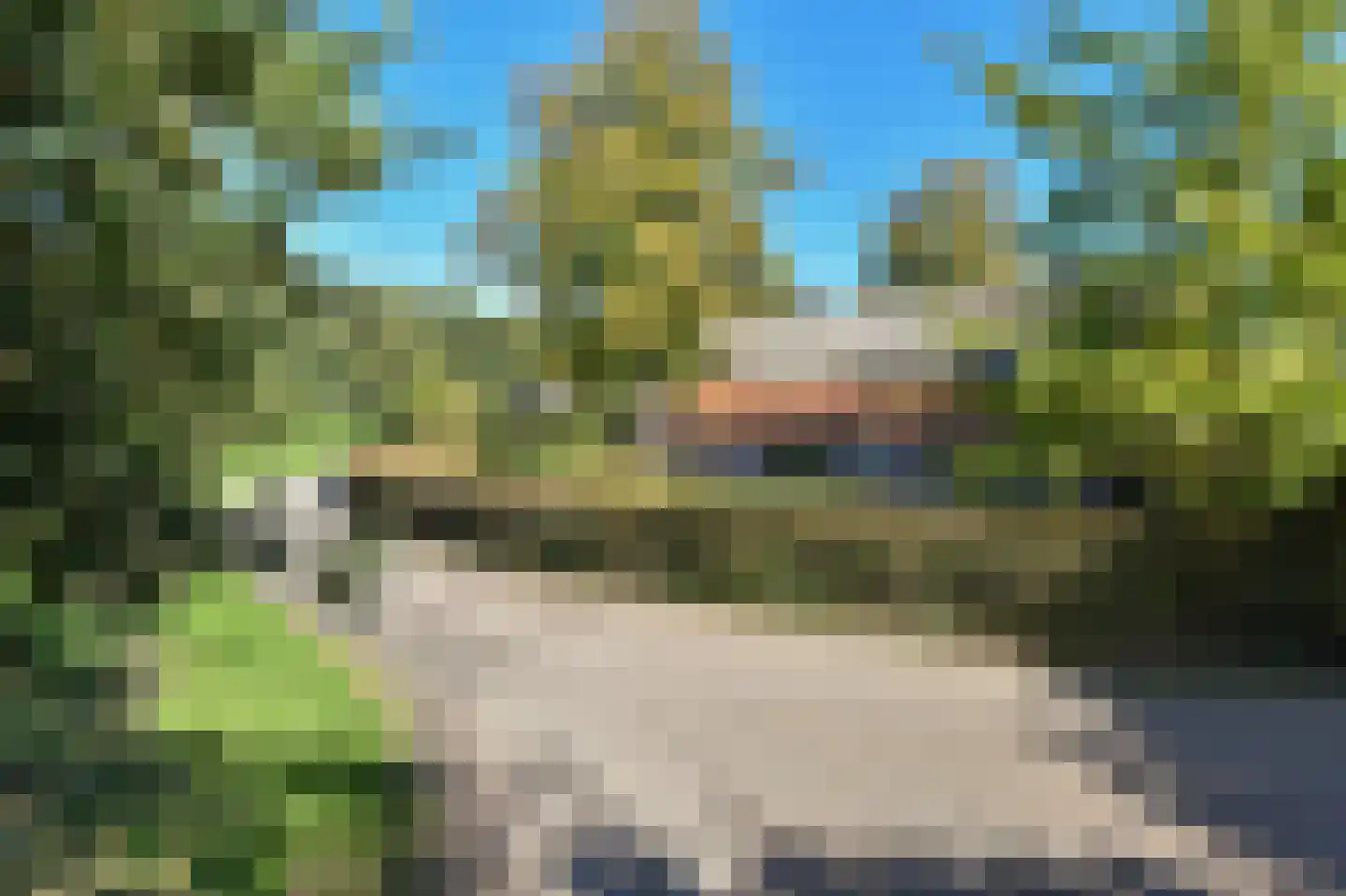 Bellinkhofsdwarsweg 3 Almelo thumbnail 52