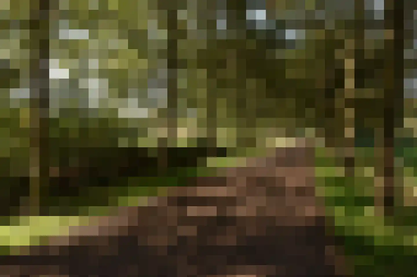 Bellinkhofsdwarsweg 3 Almelo thumbnail 53