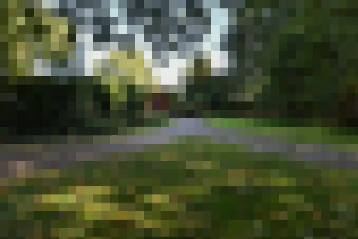 Bellinkhofsdwarsweg 3 Almelo thumbnail 54