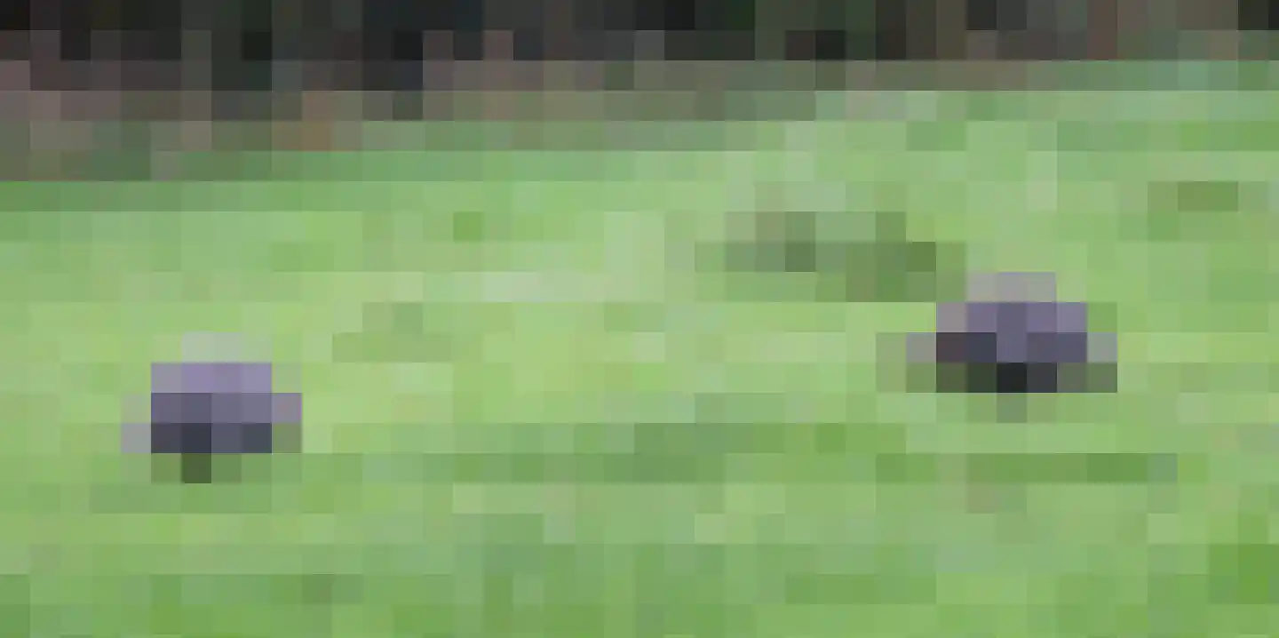 Bellinkhofsdwarsweg 3 Almelo thumbnail 55