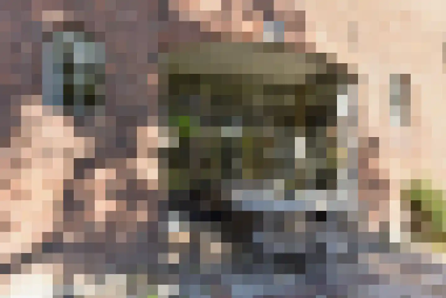 Bellinkhofsdwarsweg 3 Almelo thumbnail 57