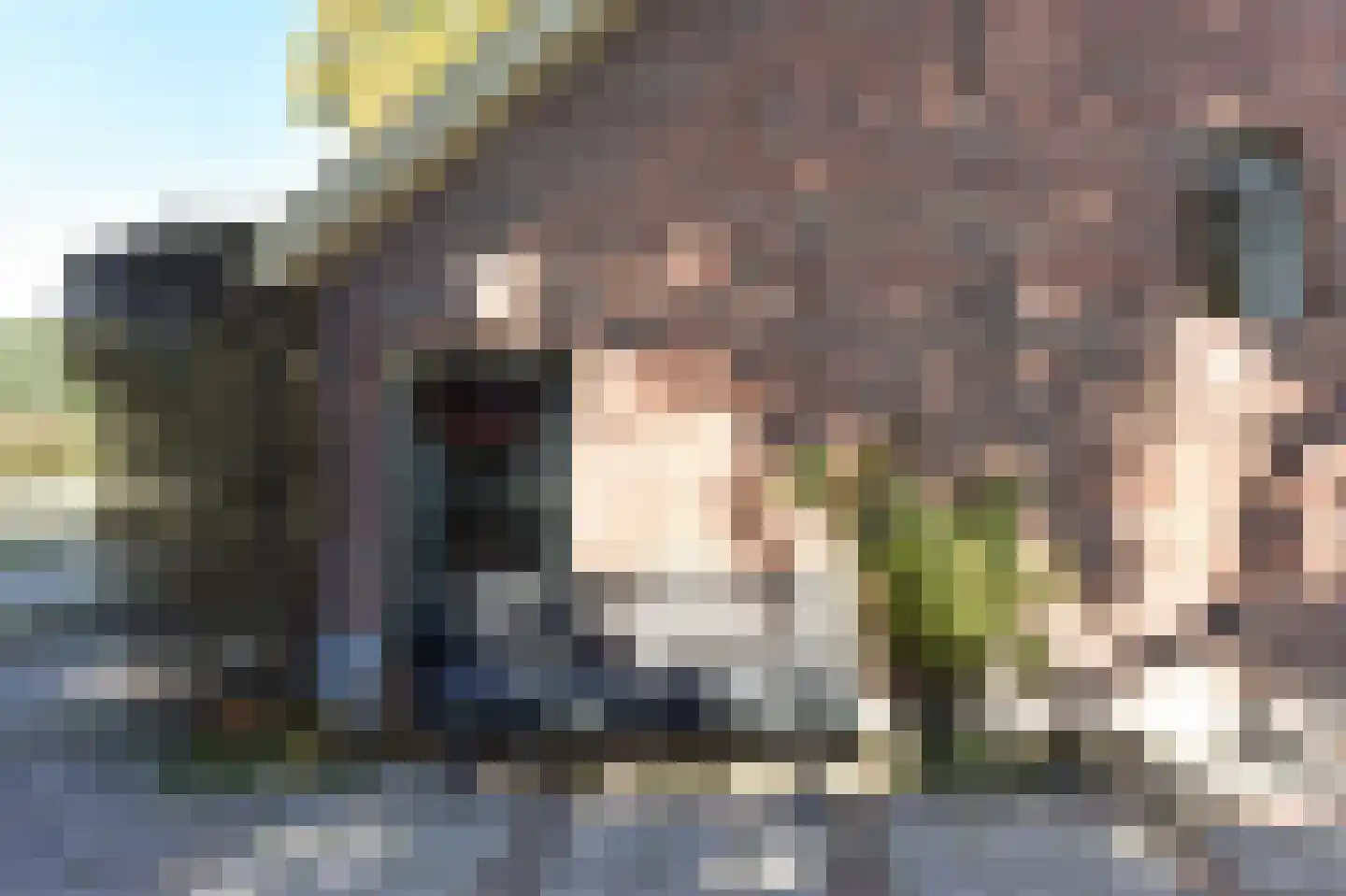 Bellinkhofsdwarsweg 3 Almelo thumbnail 59
