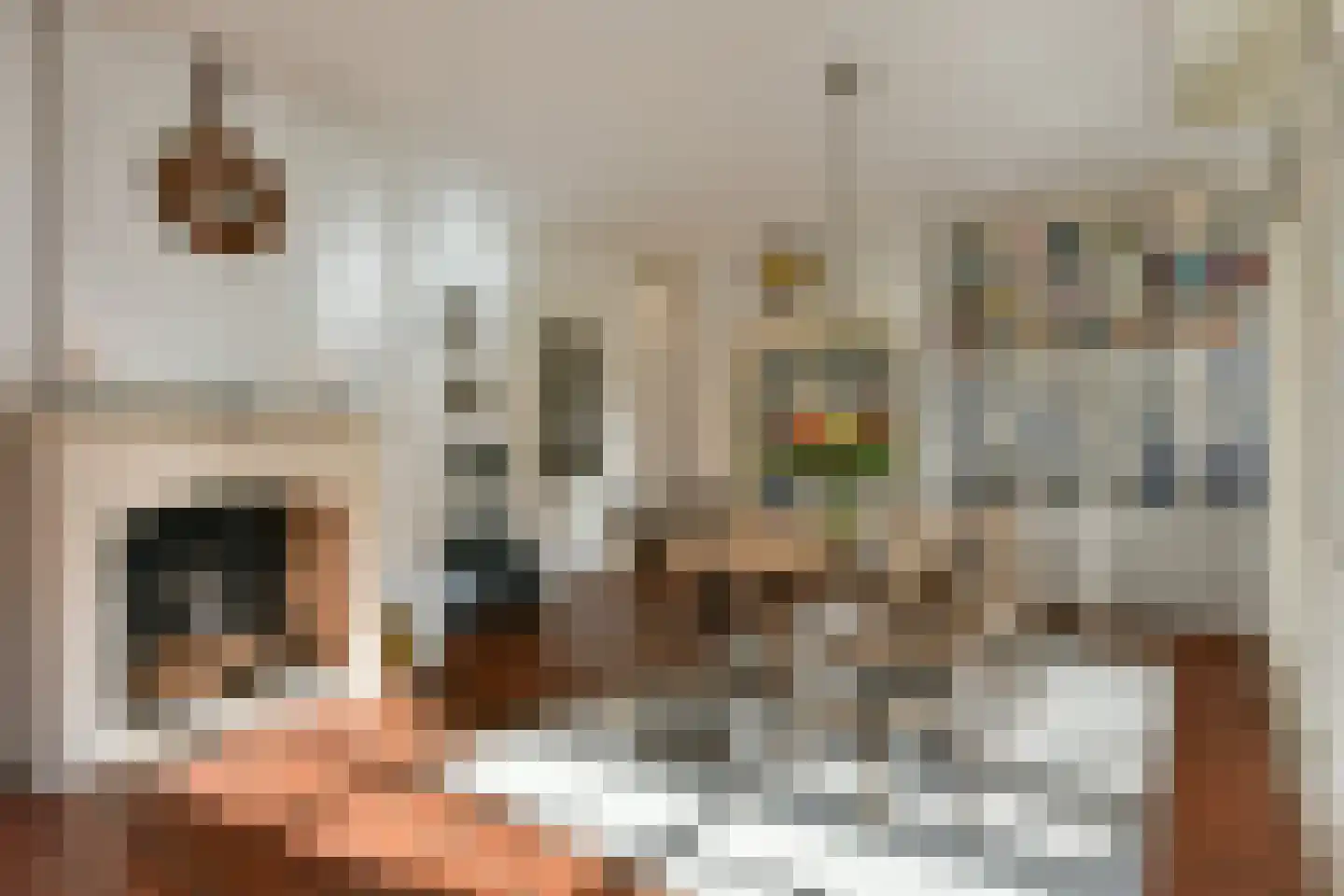 Bellinkhofsdwarsweg 3 Almelo thumbnail 6