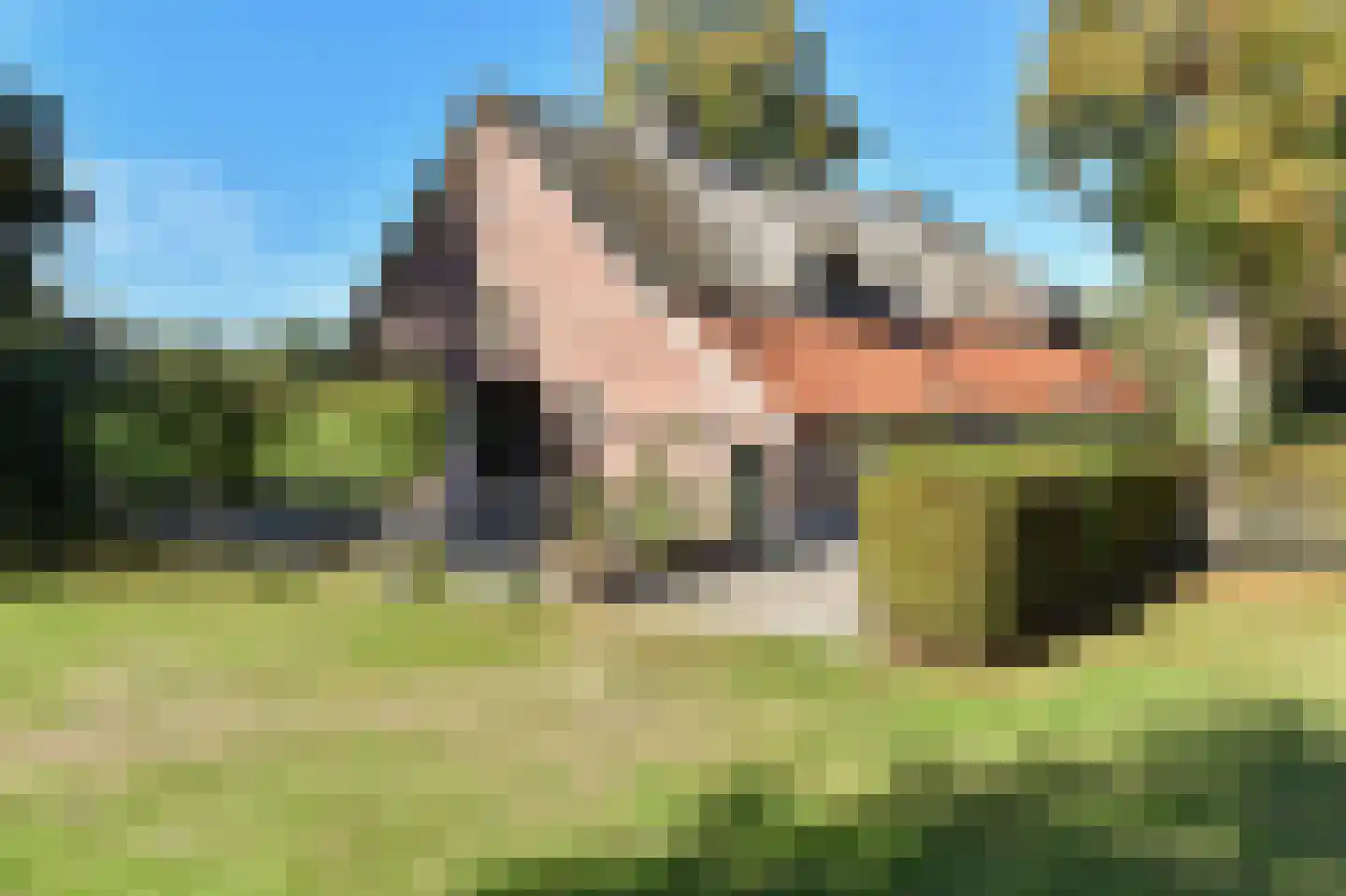 Bellinkhofsdwarsweg 3 Almelo thumbnail 60