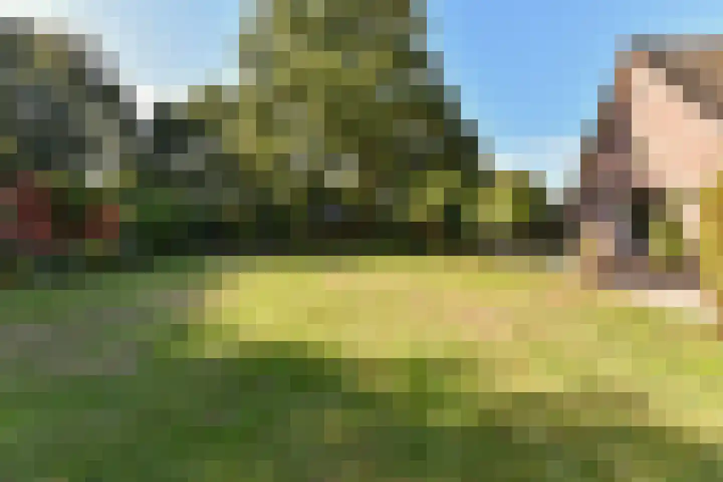 Bellinkhofsdwarsweg 3 Almelo thumbnail 61