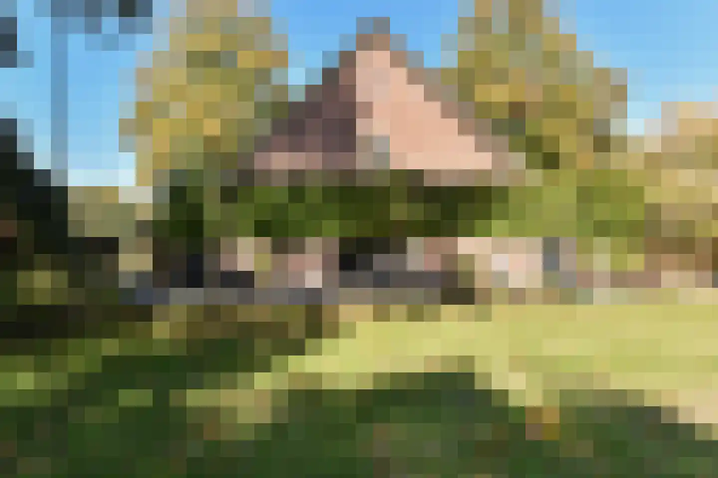 Bellinkhofsdwarsweg 3 Almelo thumbnail 62