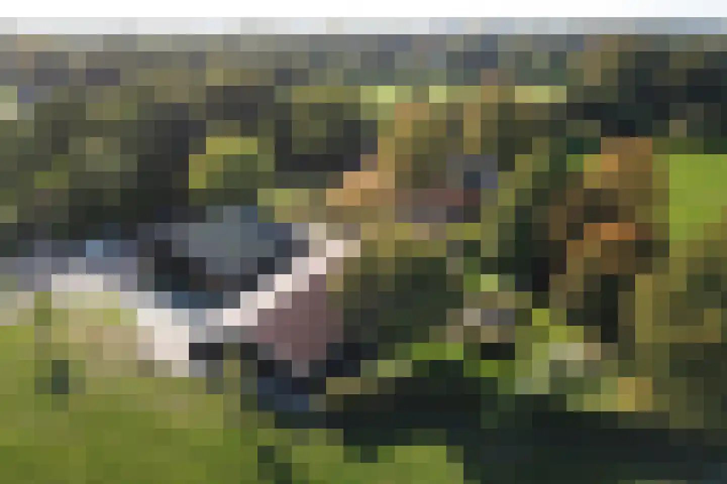 Bellinkhofsdwarsweg 3 Almelo thumbnail 65